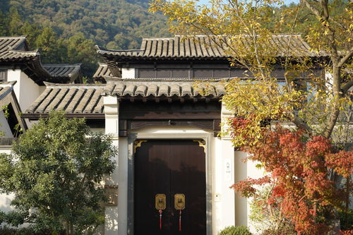 熱烈祝賀我司六個項目榮獲2019年度杭州市 優(yōu)秀園林綠化工程 金獎