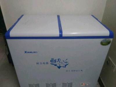 泉州豐澤區(qū)泉秀路冷凍一體冰箱及燒烤技術(shù)全套轉(zhuǎn)讓